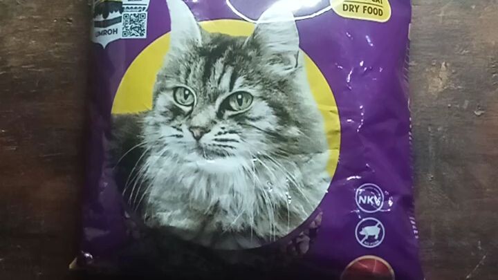 Cemilan kucing kesyanganmu