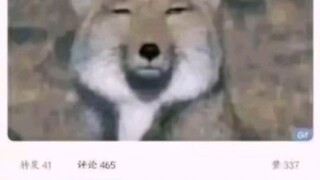 哈哈哈，直接说出了本质
