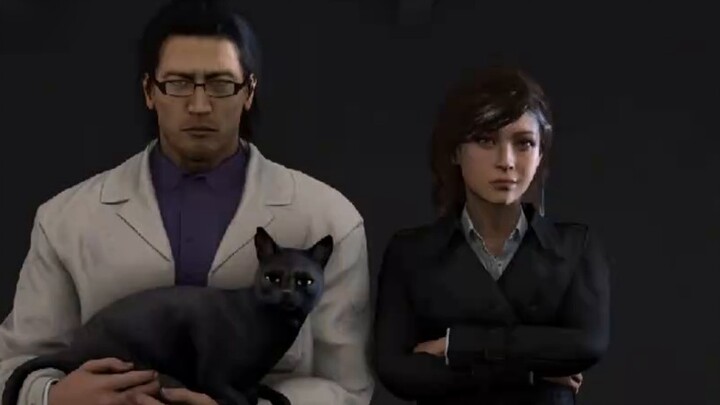 What do you think about the question of whether Titan TV is a cat?