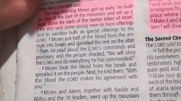 Daily Verse.                  Exodus 24:9-11