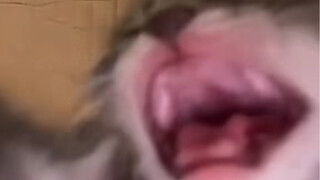 MAAAAAAAAAAAAAA