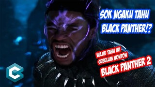 YAKIN KENAL BLACK PANTHER? NO 3 PALING MENCENGANGKAN