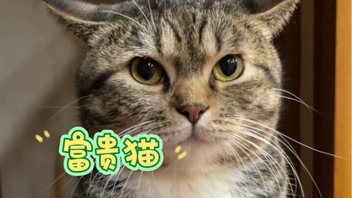 แววตาอันเด็ดเดี่ยวเช่นนี้ ช่างคล้ายกับคำประกาศเข้าพรรคของข้าพเจ้าเมื่อครั้งอดีต