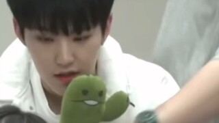 [SEVENTEEN] Khi gặp người này, tôi bắt đầu gặp lại chị quản lý của mình.