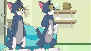 汤姆意外发现有跟自己长的一样的猫咪，于是双方互换了身份！
