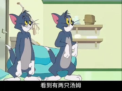 汤姆意外发现有跟自己长的一样的猫咪，于是双方互换了身份！