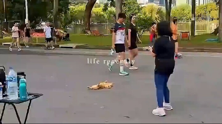 Se Metió En Una Carrera Y Nadie Podía Moverlo