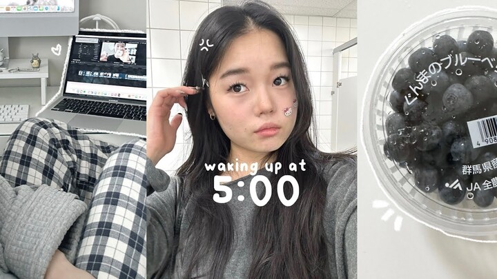 Waking up at 5AM Productive Vlog🥛: Brother reveal, korean makeup collection, school etc.