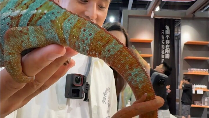 Unveiling Shanghai's sky-high-priced pet!