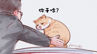 猫猫:无语住了家人们，有人摸我腚