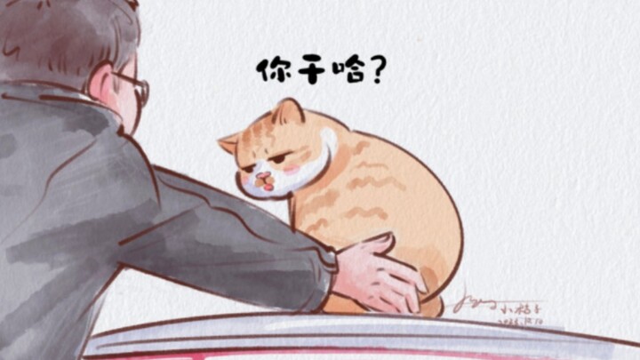 猫猫:无语住了家人们，有人摸我腚