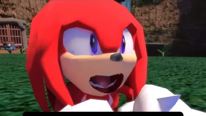 Sonic meme on gay behavior