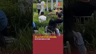 Độc lạ lễ cưới tổ chức giữa ruộng, đi về chắc ngứa cả tuần | TGT