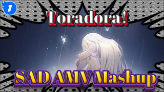 Toradora!| "Please don't get lost when you are alone"_1
