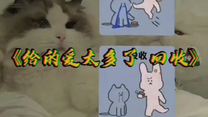 “Cho quá nhiều tình yêu, giờ phải thu hồi”