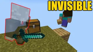 Using Invisible Skin In Minecraft #3