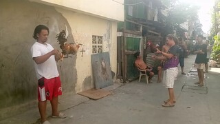 win nman po tau kapatid ng bulik Salto lng sakalam