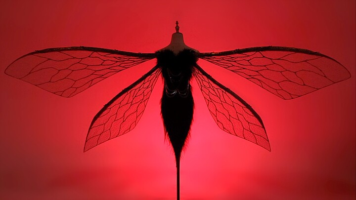 >Ratu Lebah<｜Butuh waktu setengah bulan untuk membuat sayap listrik dengan lebar sayap 2,4 meter. "U