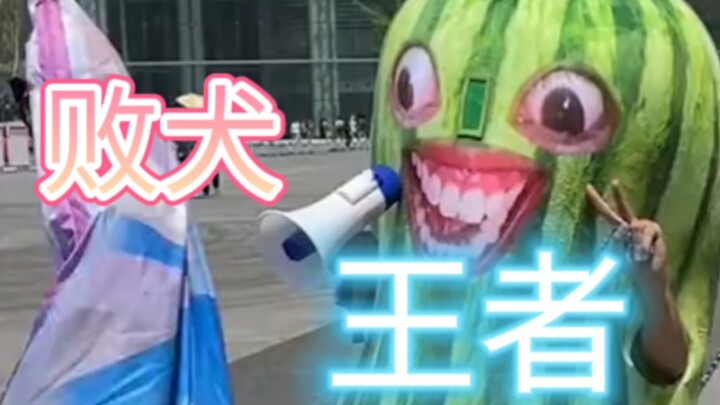 Yang lebih gila daripada cosplay Primalgem adalah cosplay stik semangka