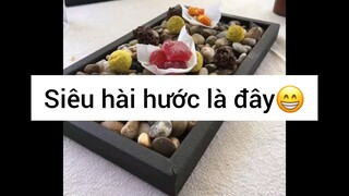 Siêu hài hước là đây