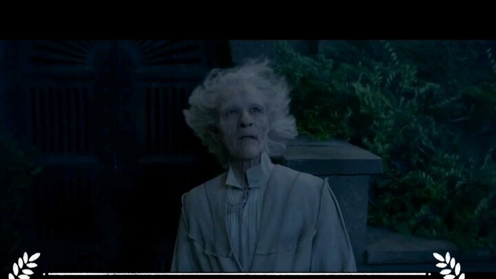 [Fantastic Beasts 2] Nicolas Flamel's highlight moment! All curses are over!!