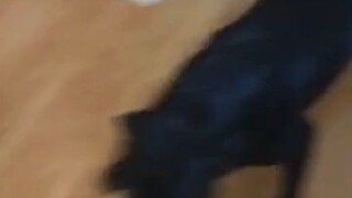 He doesn't even dare to bring his hand near him.