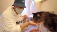 JPOP JO1 SHO WITH PETS