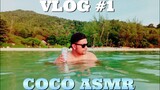 ร้านเด็ด!จัดไป!VLOG#1:COCO SAMUI ASMR #เกาะพงัน#หาดสน#ทำVlogครั้งแรก#ร้านเด็ดจัดไป!