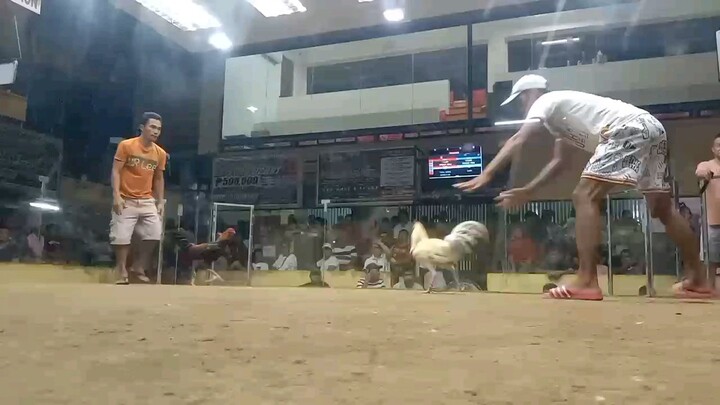 WHITE KELSO KUBA BALILENG #REDJECKGF