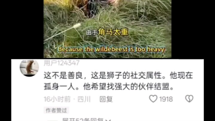 Thành phần nghệ thuật rất cao