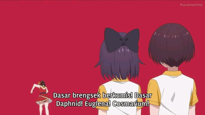 Himawari Circusdan EP7 - Sub Indo!