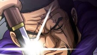 Alasan Fujitora Tidak Jadi Memanggil Meteor Mengalahkan Karasu