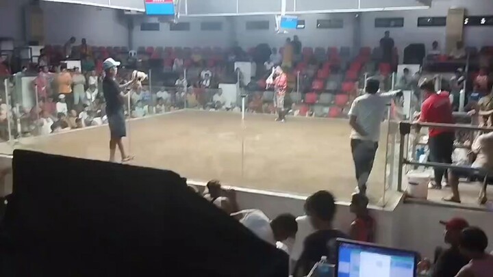 Allan's White Kelso 2nd fight