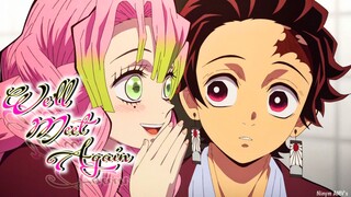 Mitsuri & Tanjiro | Demon Slayer: Kimetsu no Yaiba Katanakaji no Sato-hen「AMV」We'll Meet Again ᴴᴰ