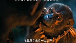 族群内讧是无法避免的，猿人主掌地球后，部落之间斗争不断