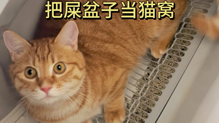 Raising a poop-making machine like this is just plain rotten.