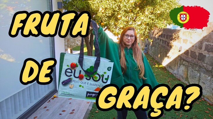 Com essa árvore no quintal NÃO COMPRO MAIS FRUTAS!