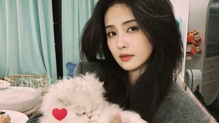 白鹿再现林少春肿脸造型 终于知道为什么白鹿和林少春这么贴合了