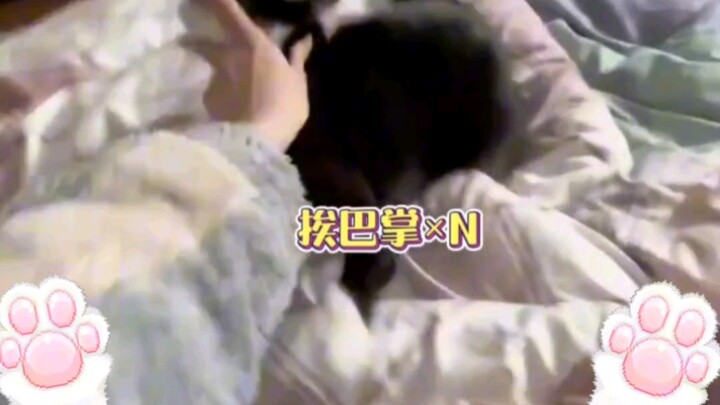 Gak perlu aku jelasin lagi kan soal kekuatan si kucing kecil dan catgirl?