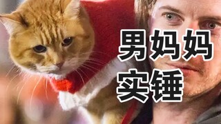 The little kitten is CRAZY about its "daddy," and right when it sees him, it starts... sucking!