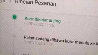 status paket :kurir dikejar 🐕