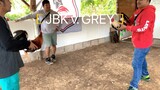 JBK vs. Grey