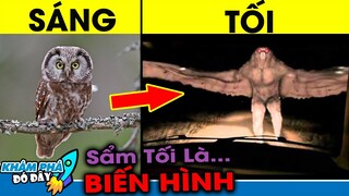 7 Loài Động Vật Bí Ẩn Đáng Sợ và Kỳ Lạ Bị Con Người Bắt Gặp Khiến Cả Làng Xôn Xao | Khám Phá Đó Đây