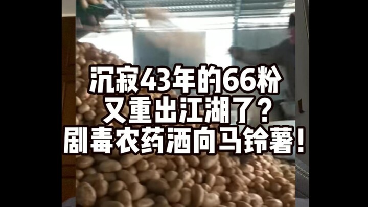 Giải mã tin tức an toàn thực phẩm