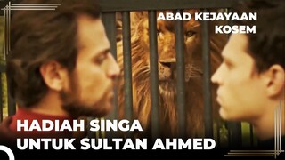Singa Mendapatkan Kekuatannya Dari Rasa Takut | Abad Kejayaan: Kosem Episode 1