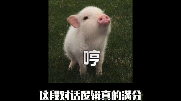 Quả là một vòng lặp logic hoàn hảo, lần này thì con heo cuối cùng cũng có tên rồi