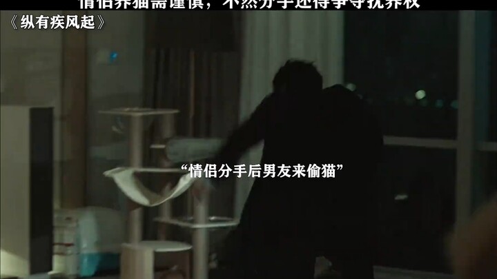 คู่รักอย่าเพิ่งเลี้ยงสัตว์เลี้ยงกันง่ายๆ อย่าให้พอเลิกกันแล้วต้องมาแย่งสิทธิ์การดูแล #...