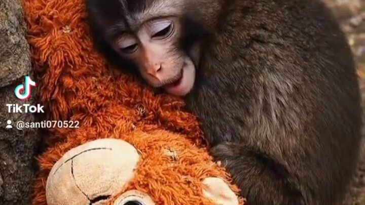 พันช์คุง ผู้โดดเดี่ยว