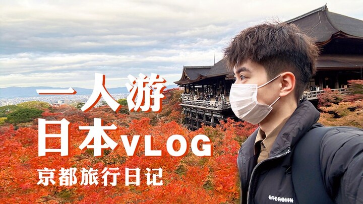日本VLOG｜一个i人的治愈京都红叶之旅！独自旅行日记