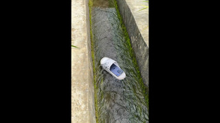 I like the beauty of nature